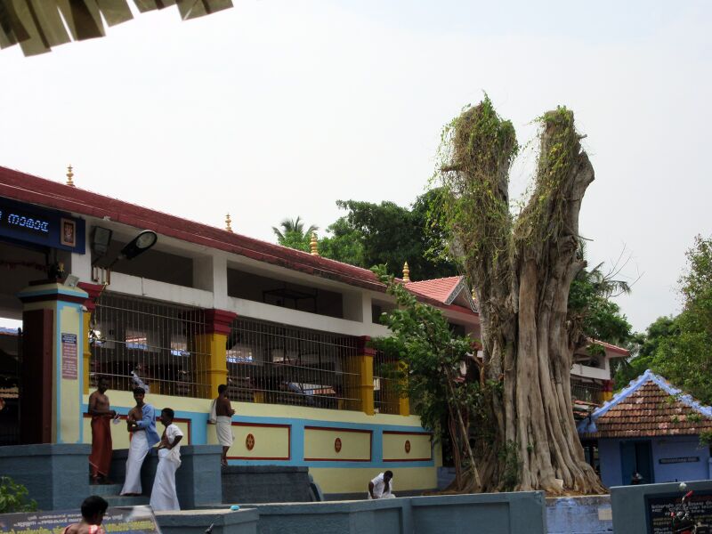 പ്രമാണം:33830263970 06b022c54c o.jpg