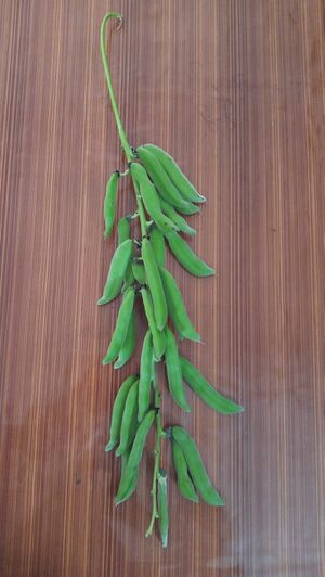 34035 UPLOADS PD6(18).jpeg