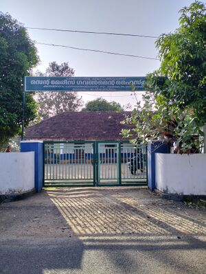 37033 SCHOOL GATE.jpg