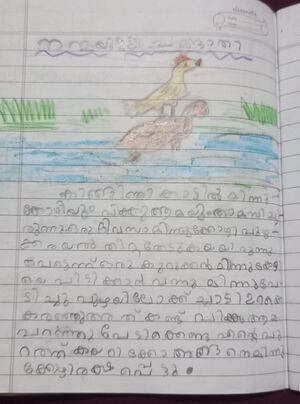 47319 AYISHA FIZA.jpg