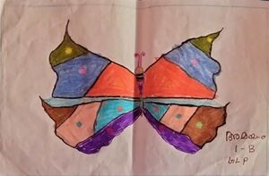 48407-MLP-KUNJ-AMAYA O 1B.jpg