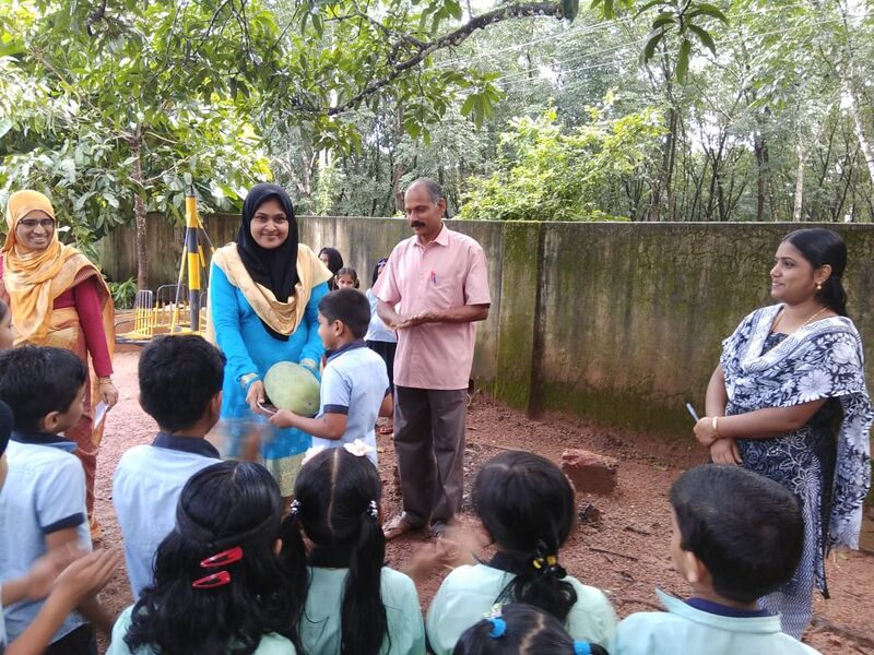 പ്രമാണം:48502 വിളവെട‍ുപ്പ് 3.jpeg