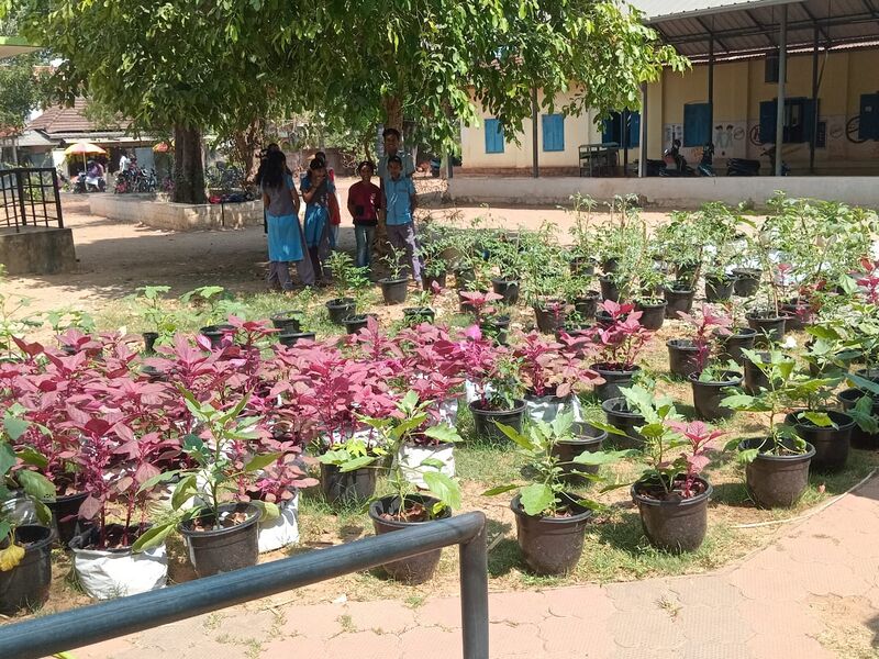 പ്രമാണം:Vegetable garden1.jpeg