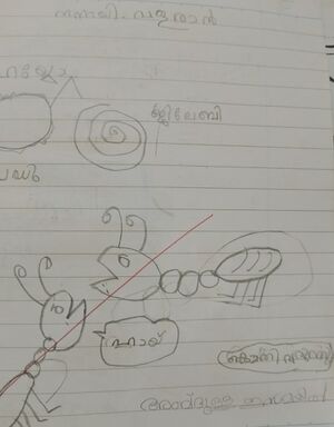 11425-KGD-KUNJ-ABDULLA ISMAIL.jpg