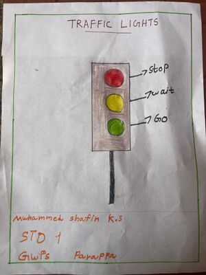 13762-KNR-KUNJ Muhammed Shafin (2).jpeg