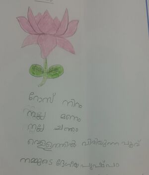 13917-KNR-KUNJ-ADIDI-1 E.jpg