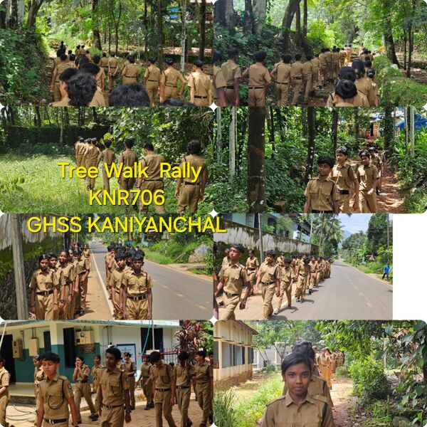 പ്രമാണം:2025 Environment day 6.jpeg