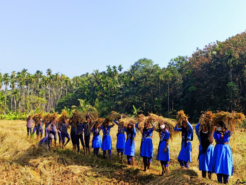 പ്രമാണം:21096 koithulsavam.png