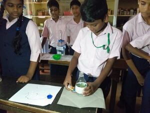 23019-tsr-work experience2-2026.jpg