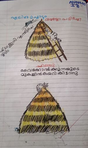 23218-TSR-KUNJ-ANAYA A S.jpg