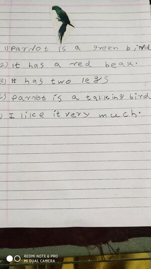 23302-TSR-KUNJ-ALEENA M B.jpg