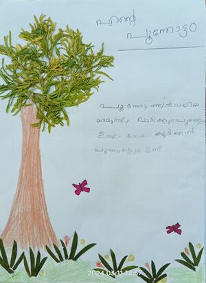 23528- TSR-AMEERA V V.jpeg