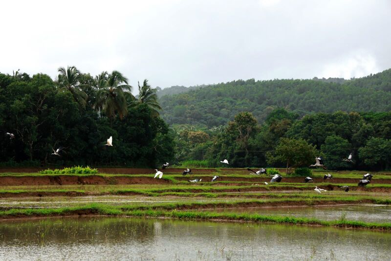 പ്രമാണം:24666 grama2.jpg