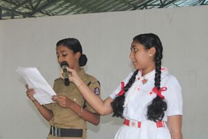 44017 nov first .JPG