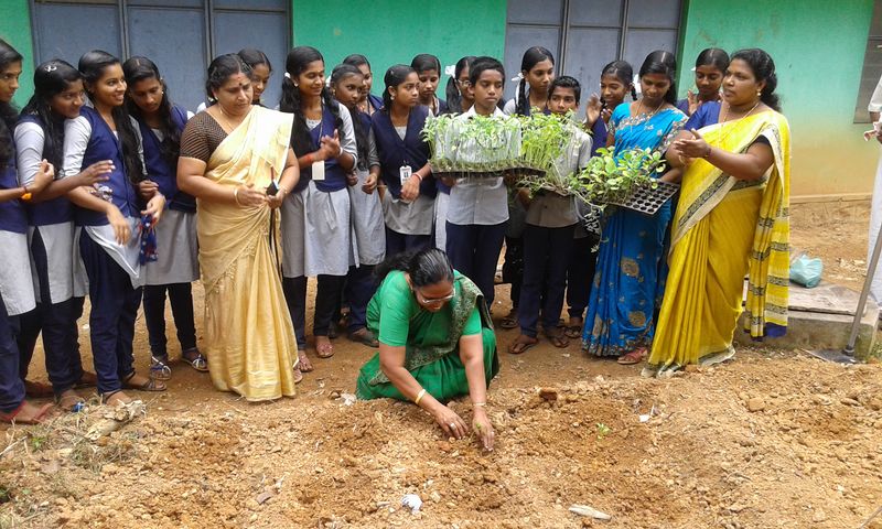 പ്രമാണം:44029 106.jpg