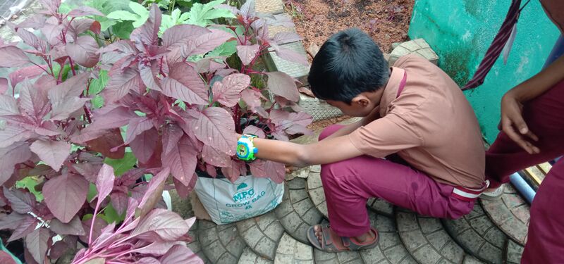 പ്രമാണം:44519-IMG 20230904 093847.jpg