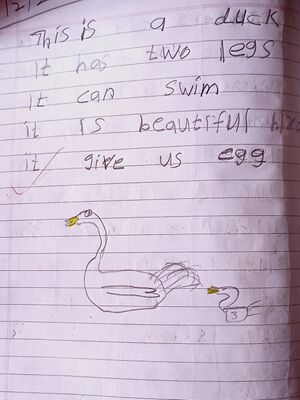 45307-Joshua Joe.jpg