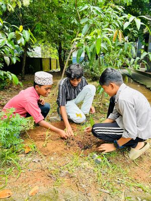 47465 Environment day 2024.jpeg