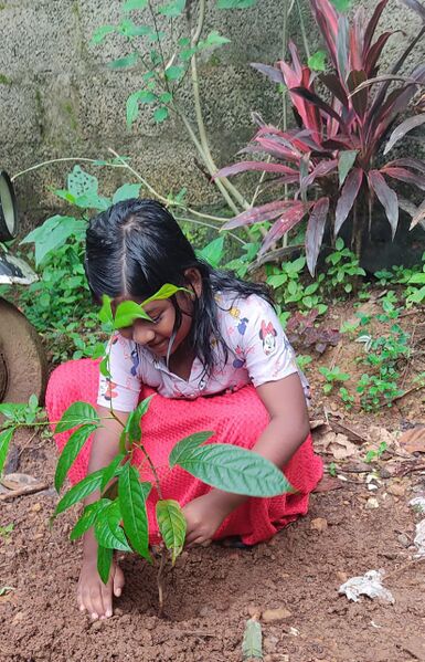 പ്രമാണം:EV Day 2.jpg