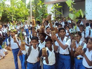 Maram oru varam6.JPG