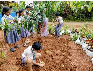 പരിസ്ഥിതി ദിനാചരണം - 2025-26.jpeg