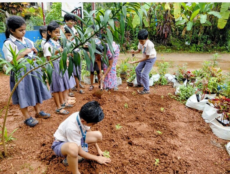 പ്രമാണം:പരിസ്ഥിതി ദിനാചരണം - 2025-26.jpeg