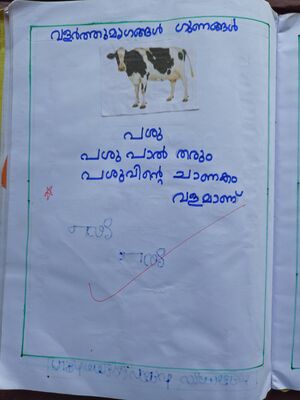 14245-KNR-KUNJ-1 copy 6120x8160.jpg