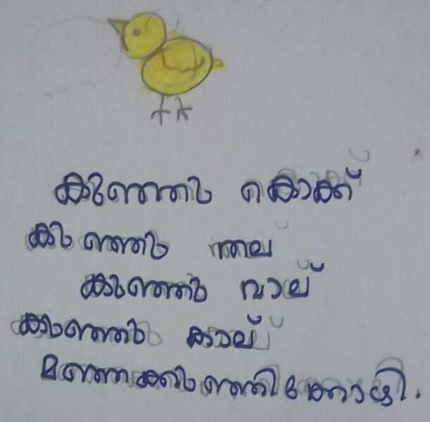 പ്രമാണം:15316-WYD-KUNJ-SAI KRISHNA N A.jpg