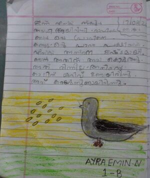 18454-MLP-KUNJ-AYRA EMIN 1B.jpeg