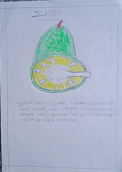 പ്രമാണം:19251-MLP-KUNJ-PARVATHI C B.jpg