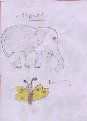 29330-IDK-KUNJ-Cera Maria Jibin.png