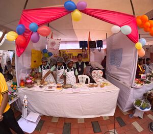 31262-valavoor-creative fest1.jpg