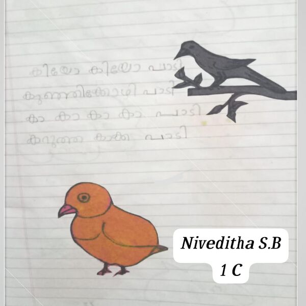 പ്രമാണം:43035-TVM-KUNJ-NIVEDITHA S B.jpg