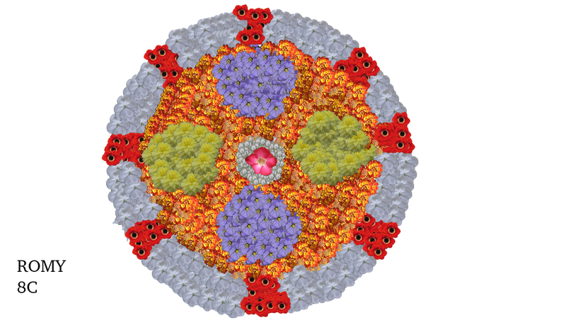 പ്രമാണം:Digital pookalam gvhss paruthippally 02.png