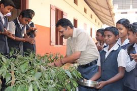 young farmers in vegetable gardon