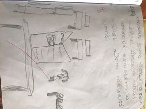 11447 ksd amisha.jpg