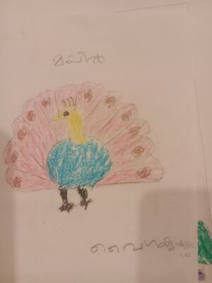 15082 WYD KUNJ VYGA KRISHNA.jpg