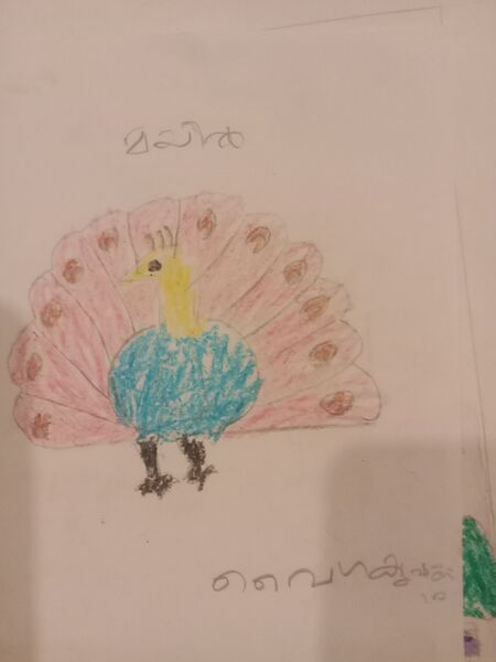 പ്രമാണം:15082 WYD KUNJ VYGA KRISHNA.jpg