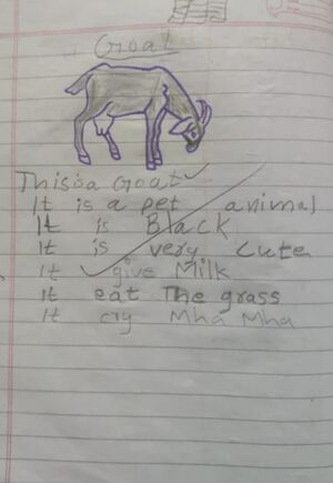 15223-WYD-KUNJ. Amish Muhammed std 1B.jpg