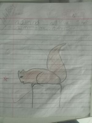 19241-MLP-KUNJ-IZZA ISHAAL.jpg