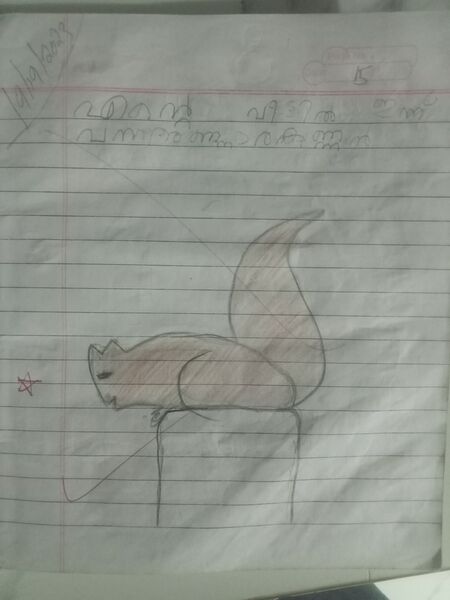 പ്രമാണം:19241-MLP-KUNJ-IZZA ISHAAL.jpg