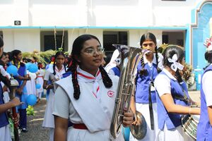 21001 band set.JPG