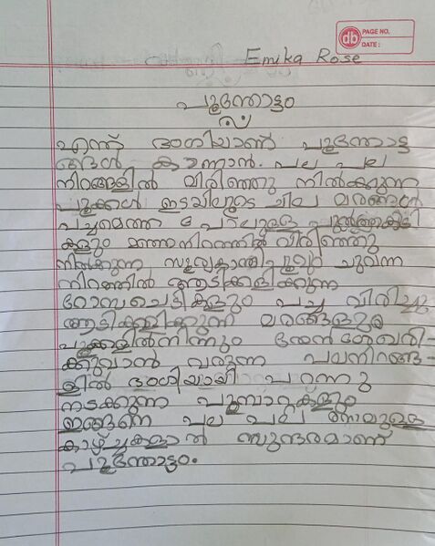 പ്രമാണം:31516-KTM-KUNJ-Emika Rose.jpeg