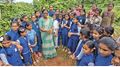 പരിസ്ഥിതി ദിനമായി ബന്ധപെട്ടു നടന്ന വൃക്ഷത്തൈ നടൽ.
