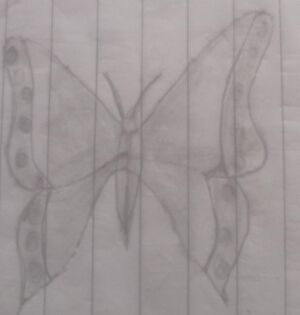 44055 butterfly354.jpeg