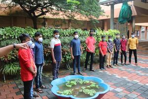 BS21 TSR 23043 1.jpg