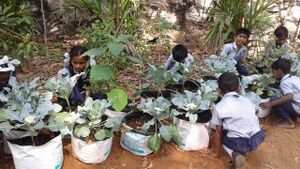 School pachakarithottam.jpg