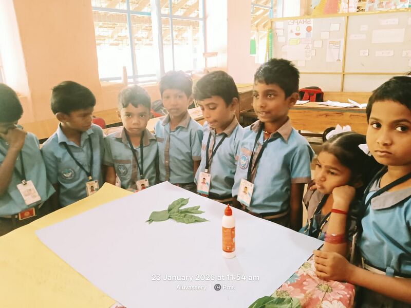 പ്രമാണം:Valps 2 pms.jpeg