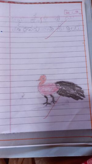 11256-KGD-KUNJ-Avva Shiza.jpeg