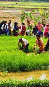 പറപ്പൂർ ഗ്രാമം'